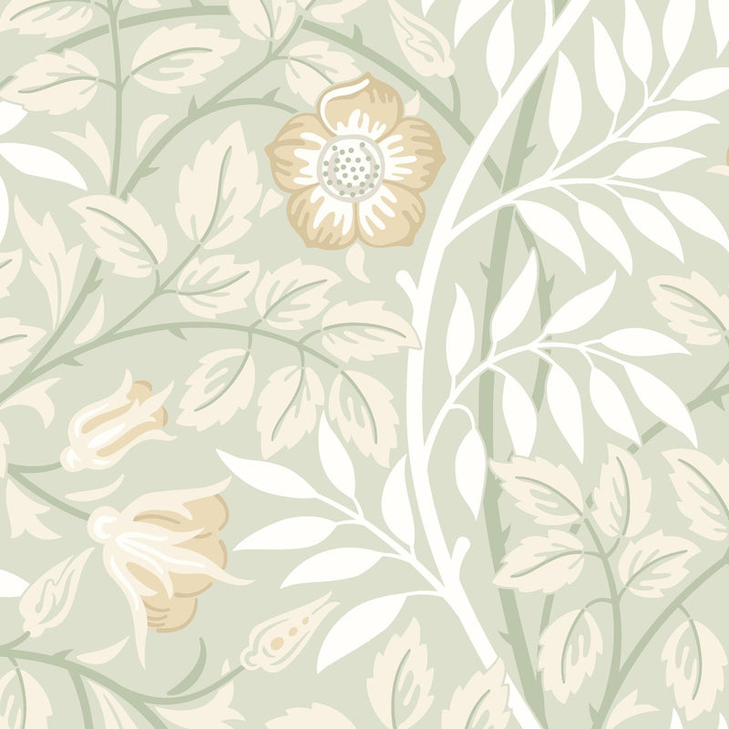 HWA1092W Rosehip Trail Sage Green Wallpaper by Hoopla Walls