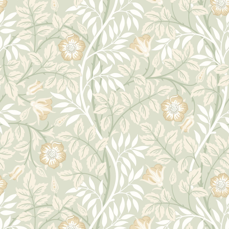 HWA1092W Rosehip Trail Sage Green Wallpaper by Hoopla Walls