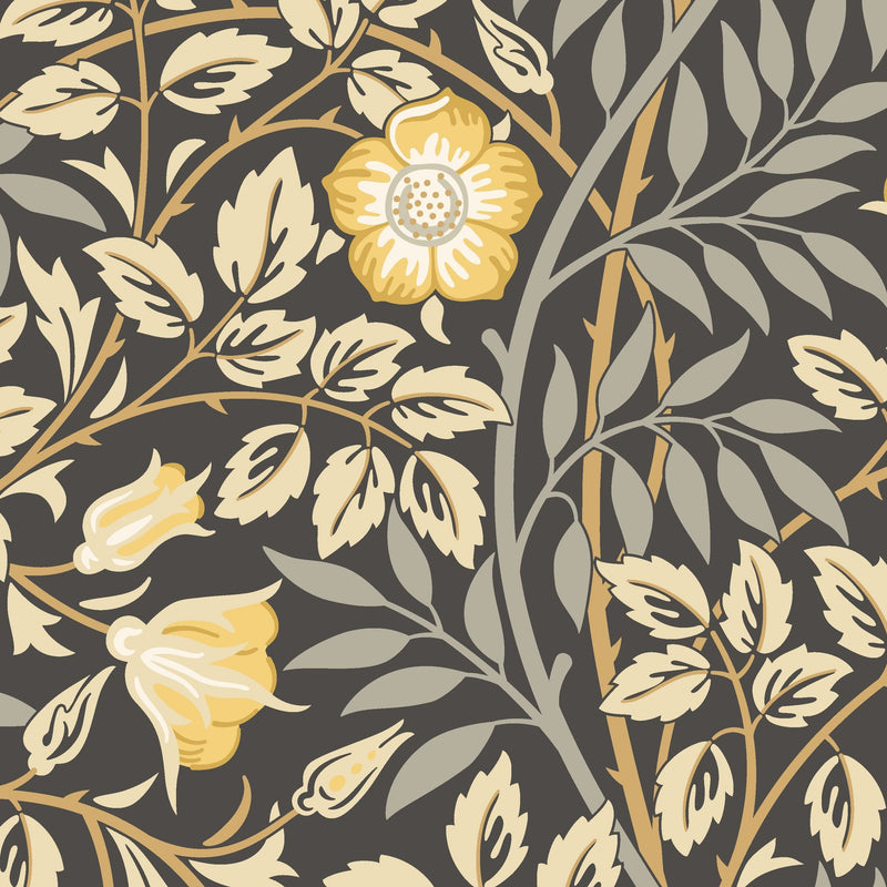 HWA1094W Rosehip Trail Chalkboard Wallpaper by Hoopla Walls