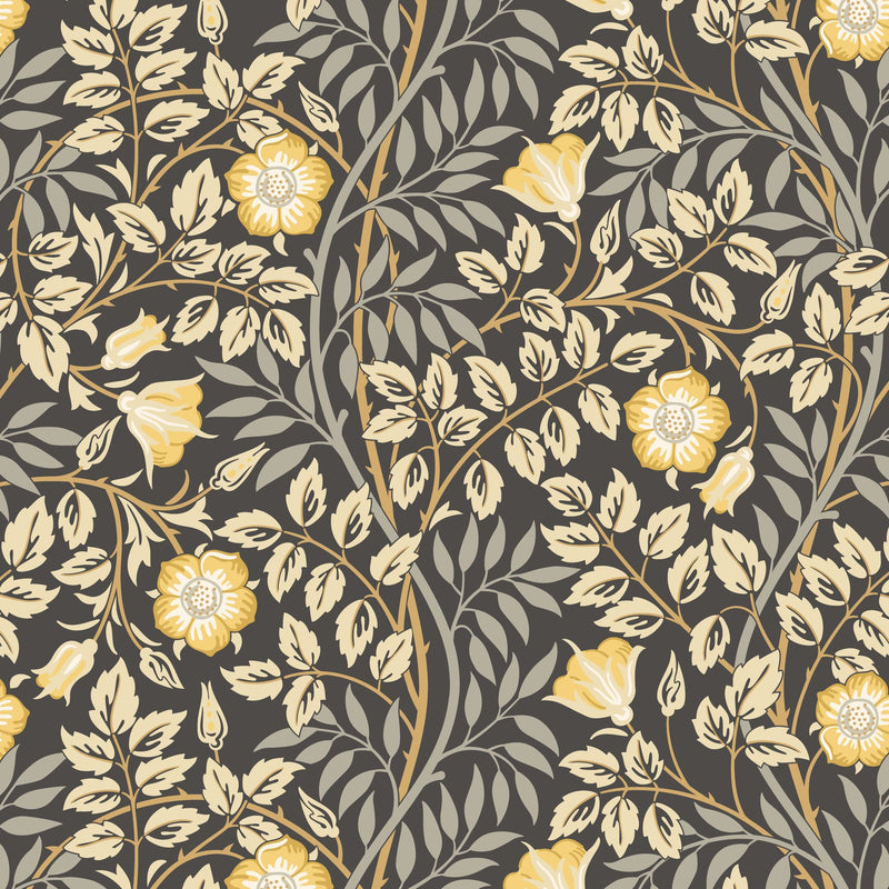 HWA1094W Rosehip Trail Chalkboard Wallpaper by Hoopla Walls