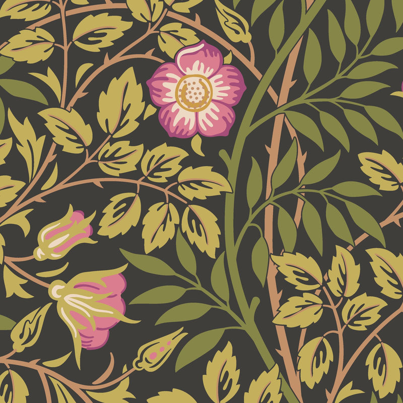 HWA1095W Rosehip Trail Aubergine Wallpaper by Hoopla Walls