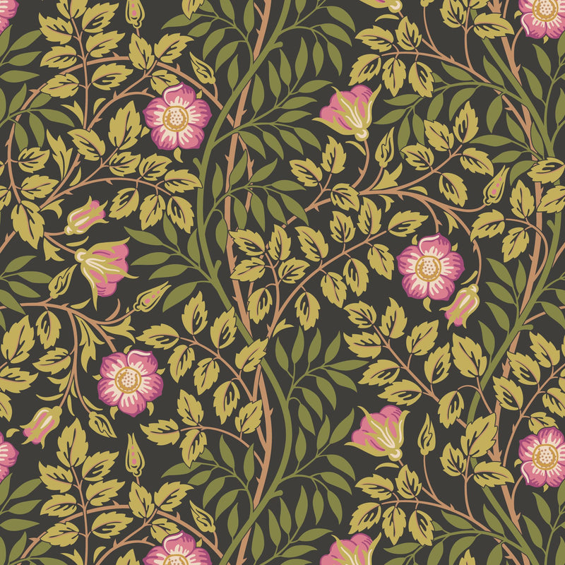 HWA1095W Rosehip Trail Aubergine Wallpaper by Hoopla Walls