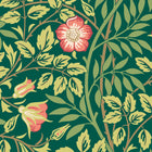 HWA1096W Rosehip Trail Forest Green Wallpaper by Hoopla Walls