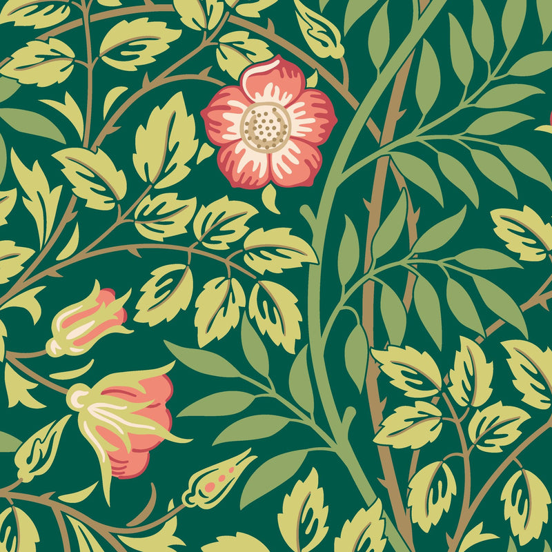 HWA1096W Rosehip Trail Forest Green Wallpaper by Hoopla Walls