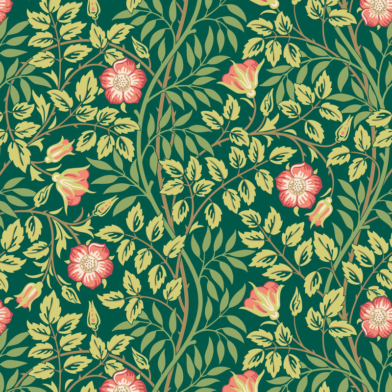 HWA1096W Rosehip Trail Forest Green Wallpaper by Hoopla Walls