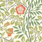 HWA1098W Rosehip Trail Coral Pink Wallpaper by Hoopla Walls