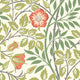 Rosehip Trail Coral Pink Eden Wallpaper by Hoopla Walls