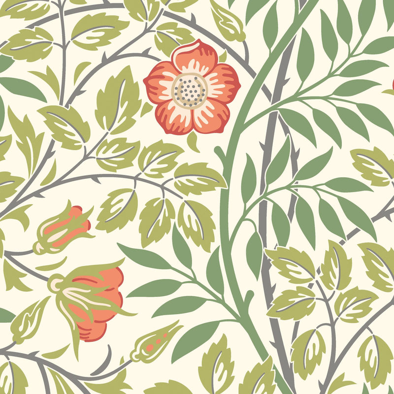 HWA1098W Rosehip Trail Coral Pink Wallpaper by Hoopla Walls