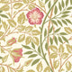 Rosehip Trail Rose Pink Eden Wallpaper by Hoopla Walls
