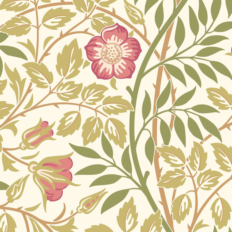 HWA1099W Rosehip Trail Rose Pink Wallpaper by Hoopla Walls