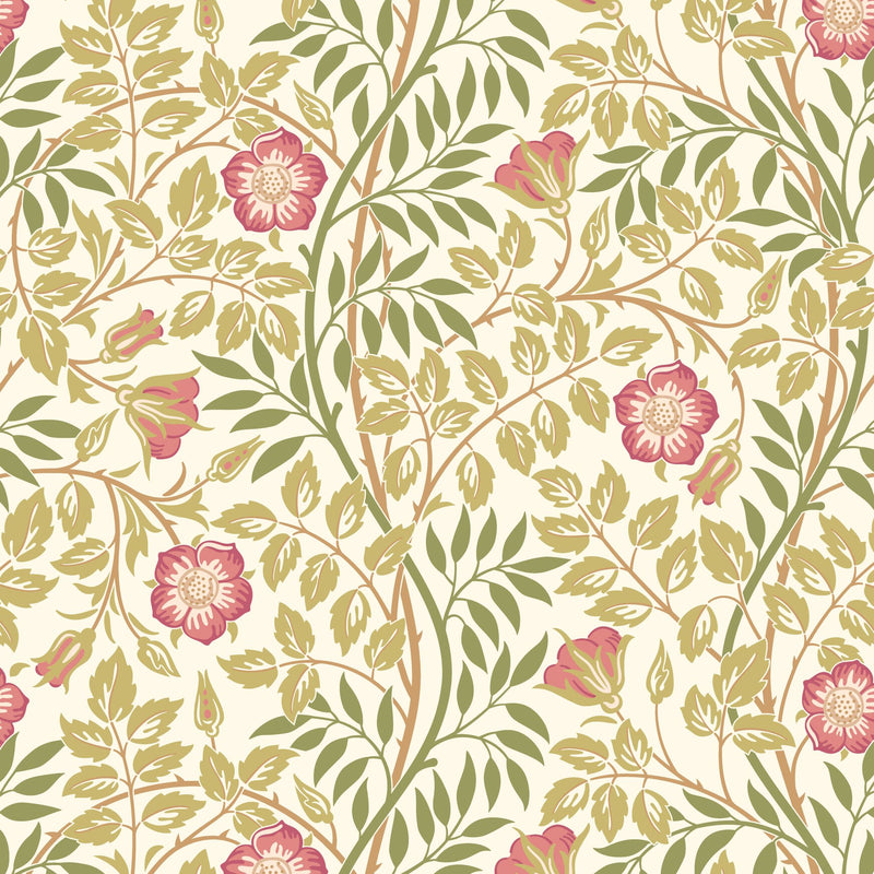 HWA1099W Rosehip Trail Rose Pink Wallpaper by Hoopla Walls