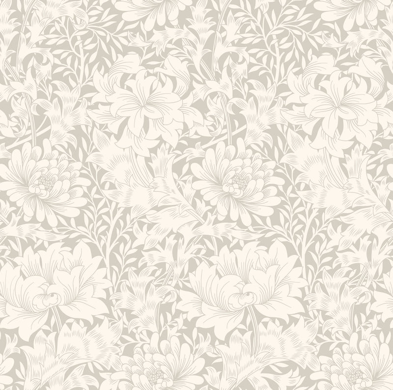 HWA1113W Chrysanthemum Dove Wallpaper by Hoopla Walls