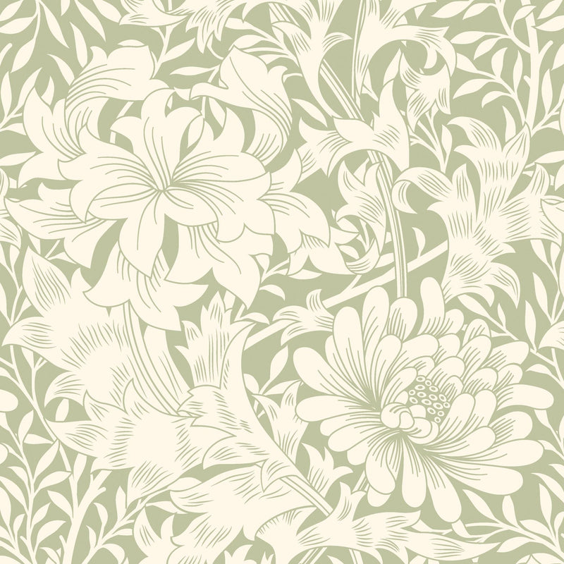 HWA1115W Chrysanthemum Sage Green Wallpaper by Hoopla Walls