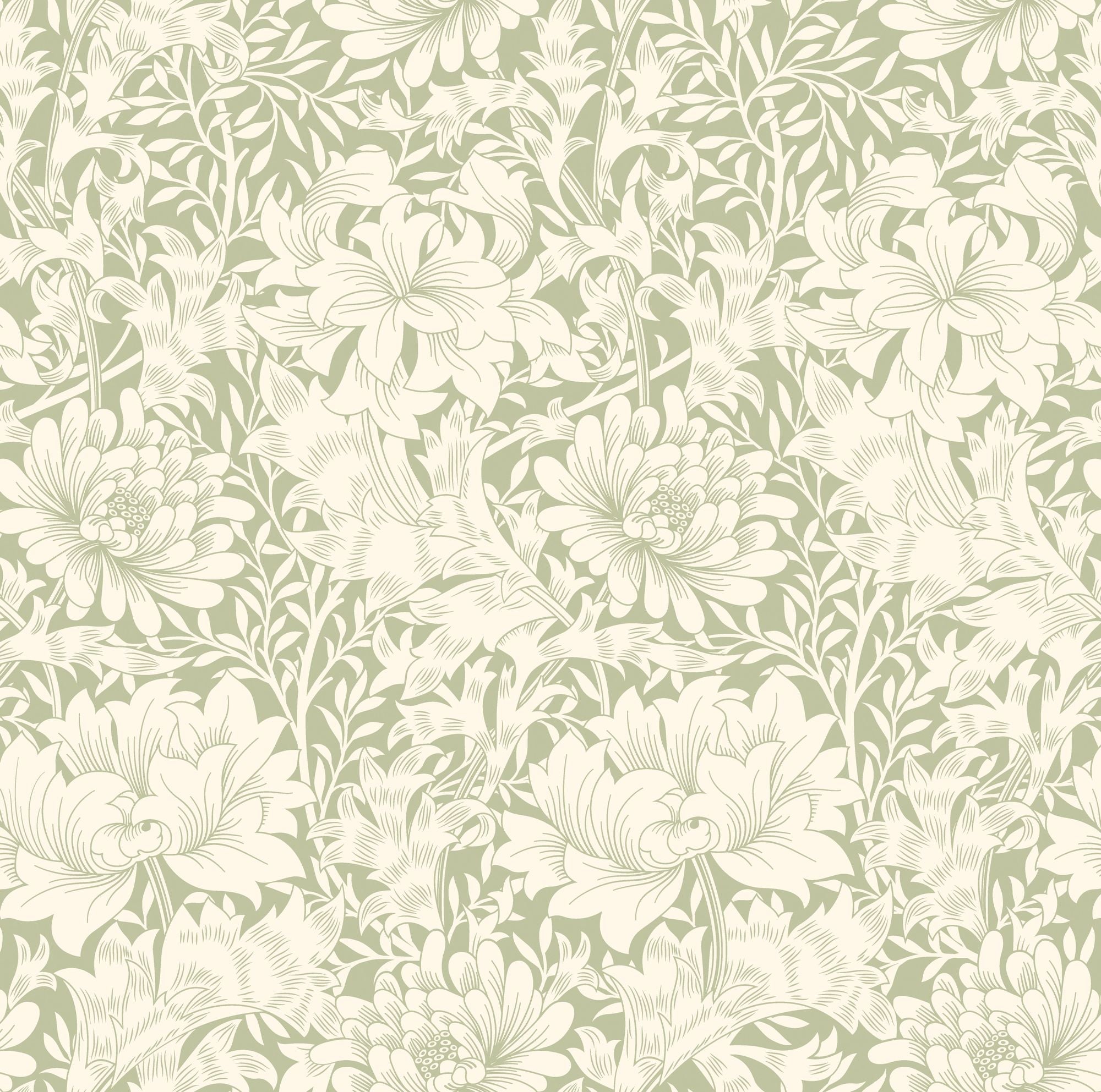 HWA1115W Chrysanthemum Sage Green Wallpaper by Hoopla Walls