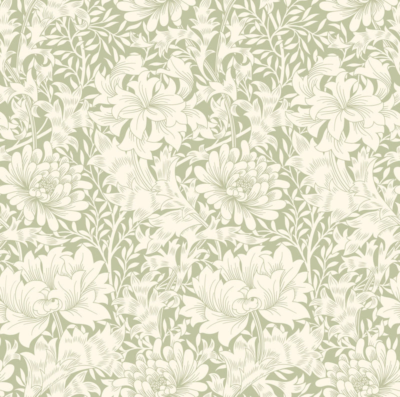 HWA1115W Chrysanthemum Sage Green Wallpaper by Hoopla Walls