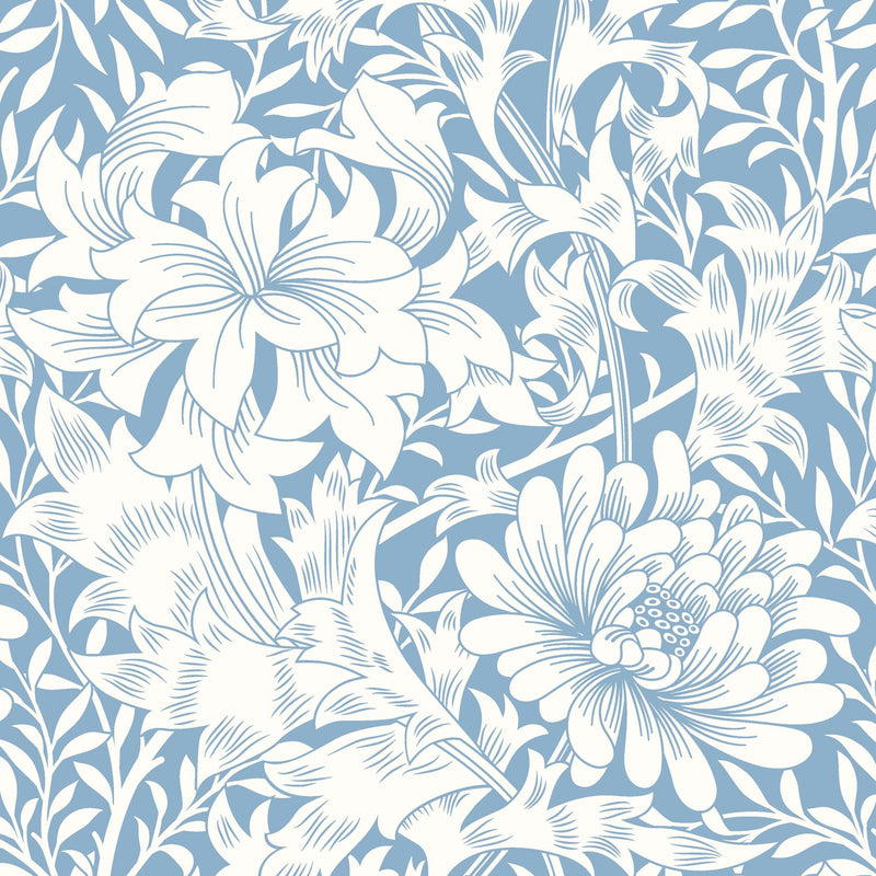 HWA1116W Chrysanthemum Wedgewood Blue Wallpaper by Hoopla Walls