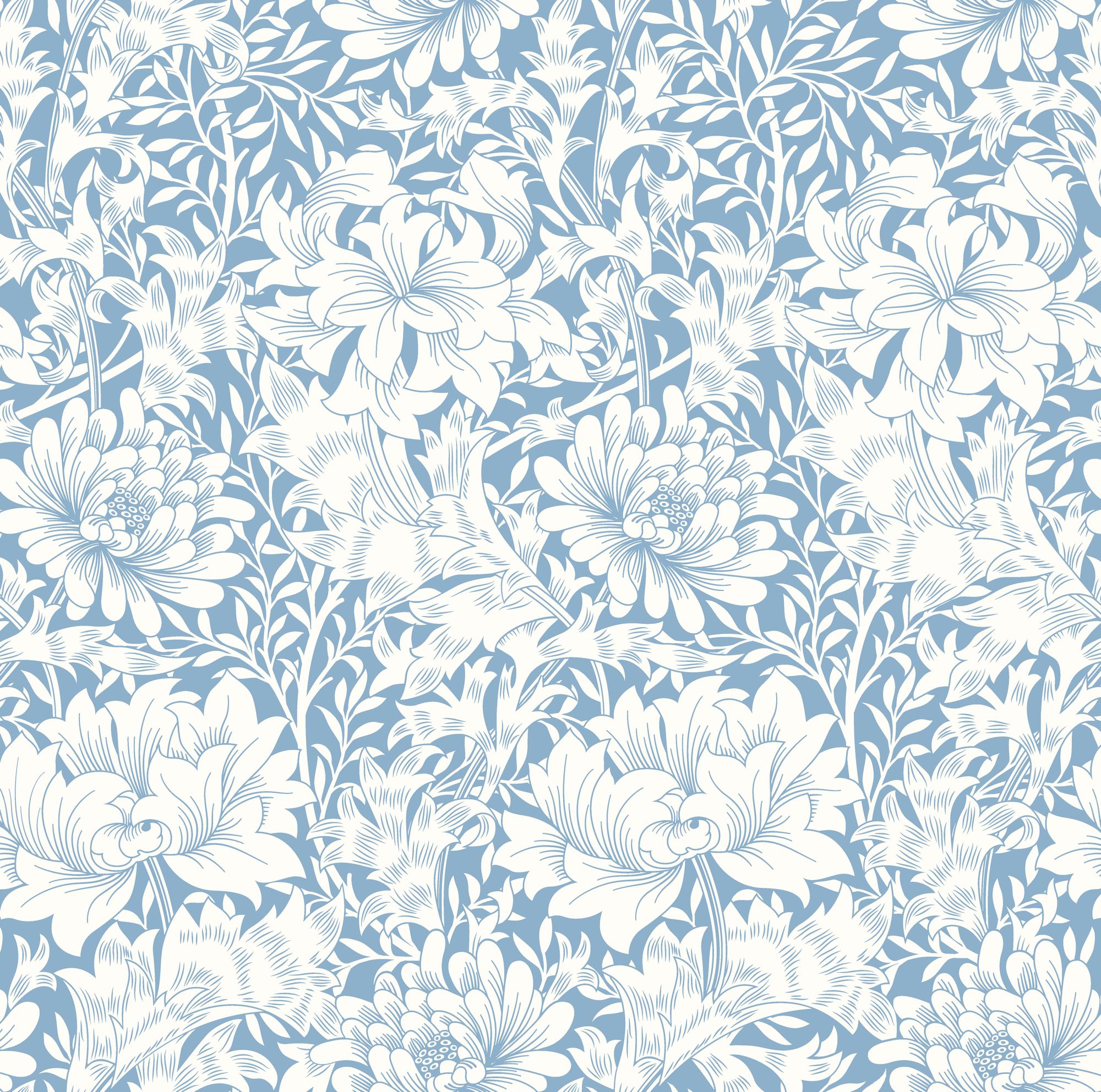 HWA1116W Chrysanthemum Wedgewood Blue Wallpaper by Hoopla Walls