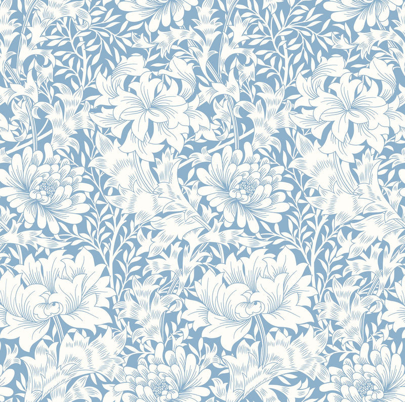 HWA1116W Chrysanthemum Wedgewood Blue Wallpaper by Hoopla Walls