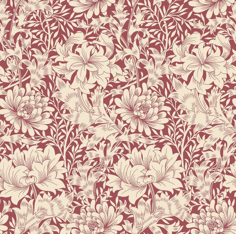 HWA1122W Chrysanthemum Ruby Red Wallpaper by Hoopla Walls