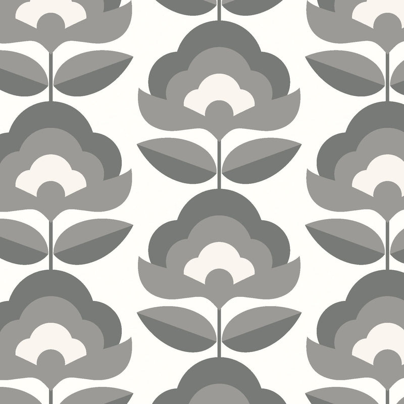 HWA1173W Retro Flower Chalkboard Wallpaper by Hoopla Walls