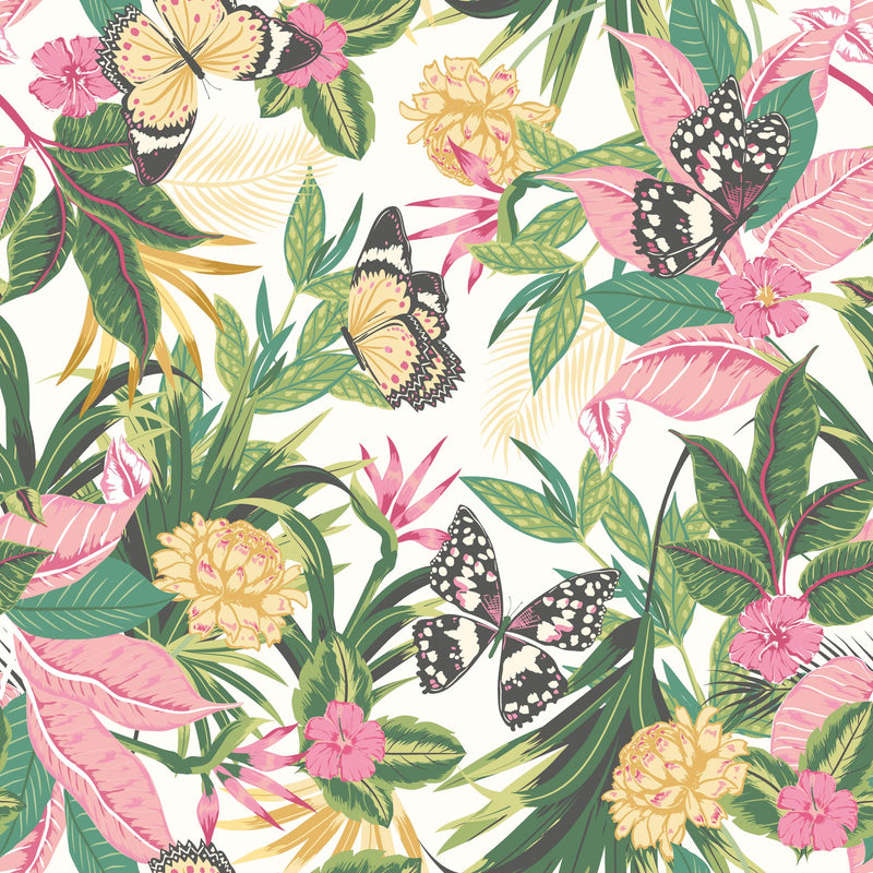 HWA1191W Paradise Flamingo Wallpaper by Hoopla Walls