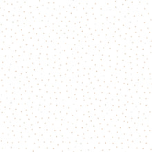 HWA1319W Mini Dots Popcorn Wallpaper by Hoopla Walls