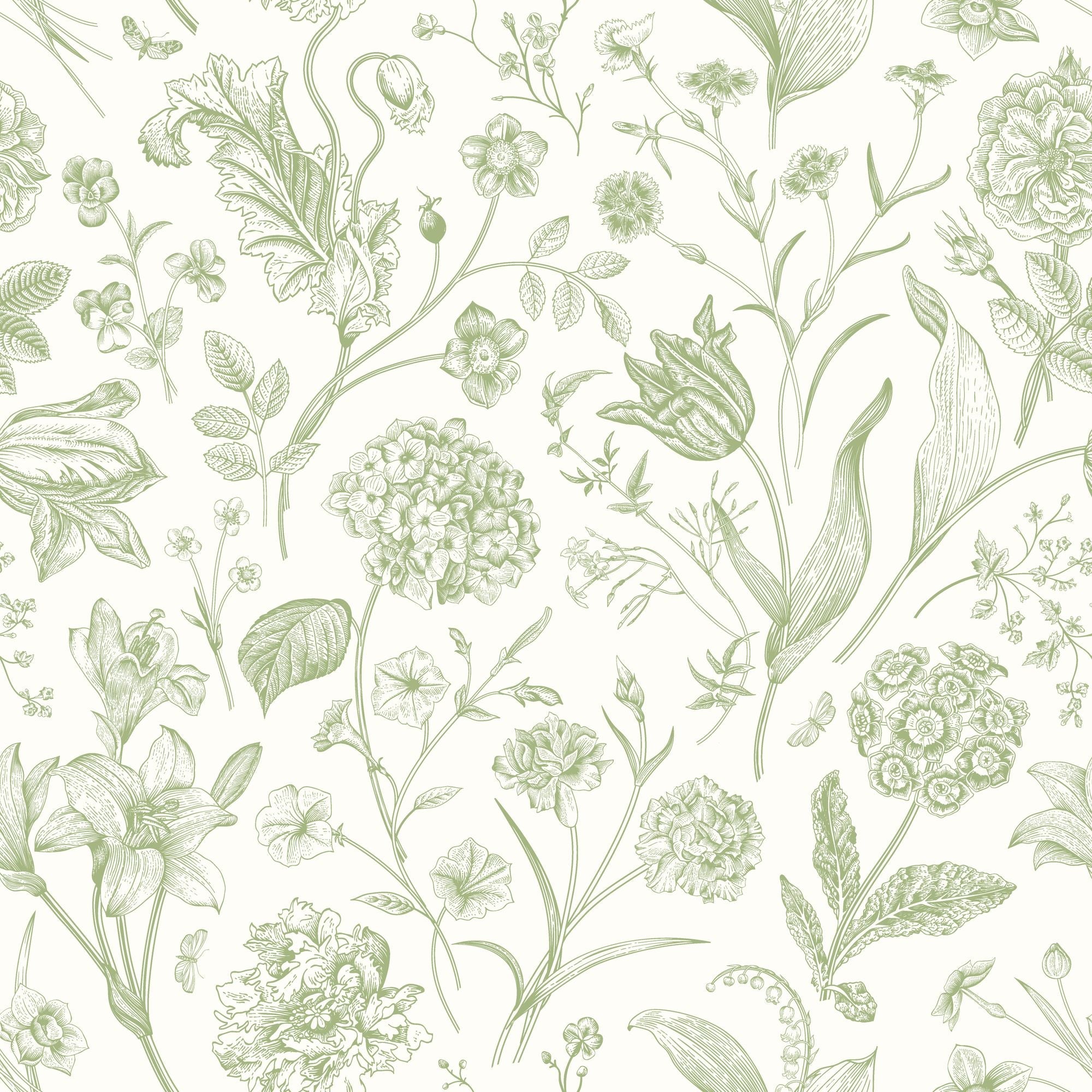 HWA1325W Floral Toile Sage Wallpaper by Hoopla Walls