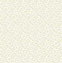 HWA1337W Dotty Vine Sage Wallpaper by Hoopla Walls