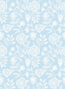 HWA1351W Evelyn Trail Sky Wallpaper by Hoopla Walls