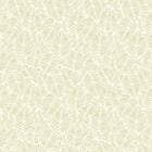 HWA1359W Zebra Leaf Soft Lime Wallpaper by Hoopla Walls