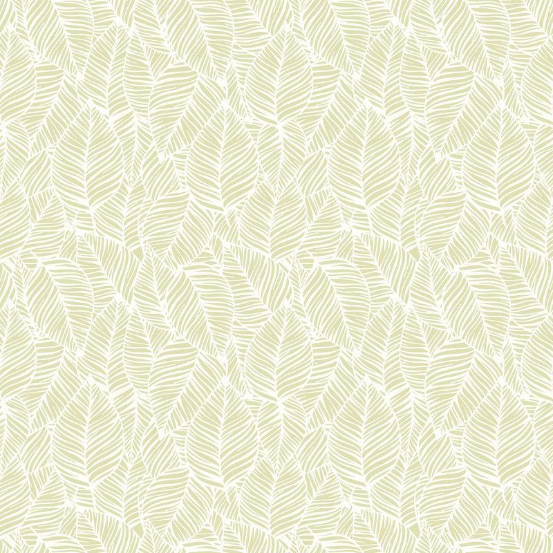 HWA1359W Zebra Leaf Soft Lime Wallpaper by Hoopla Walls
