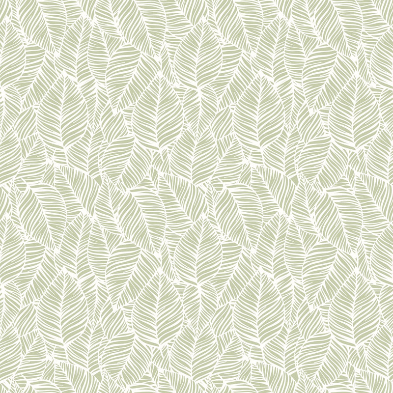 HWA1360W Zebra Leaf Olive Wallpaper by Hoopla Walls