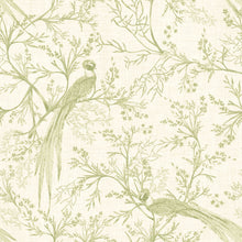 HWA1365W Bird Toile Sage Wallpaper by Hoopla Walls