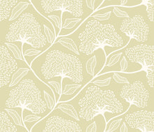 HWA1376W Dash Trail Pear Wallpaper by Hoopla Walls
