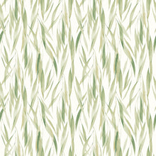 HWA1401W Eucalyptus Whisper Sage & Thyme Wallpaper by Hoopla Walls