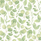 HWA1408W Watercolour Leaves Soft Sage Wallpaper by Hoopla Walls