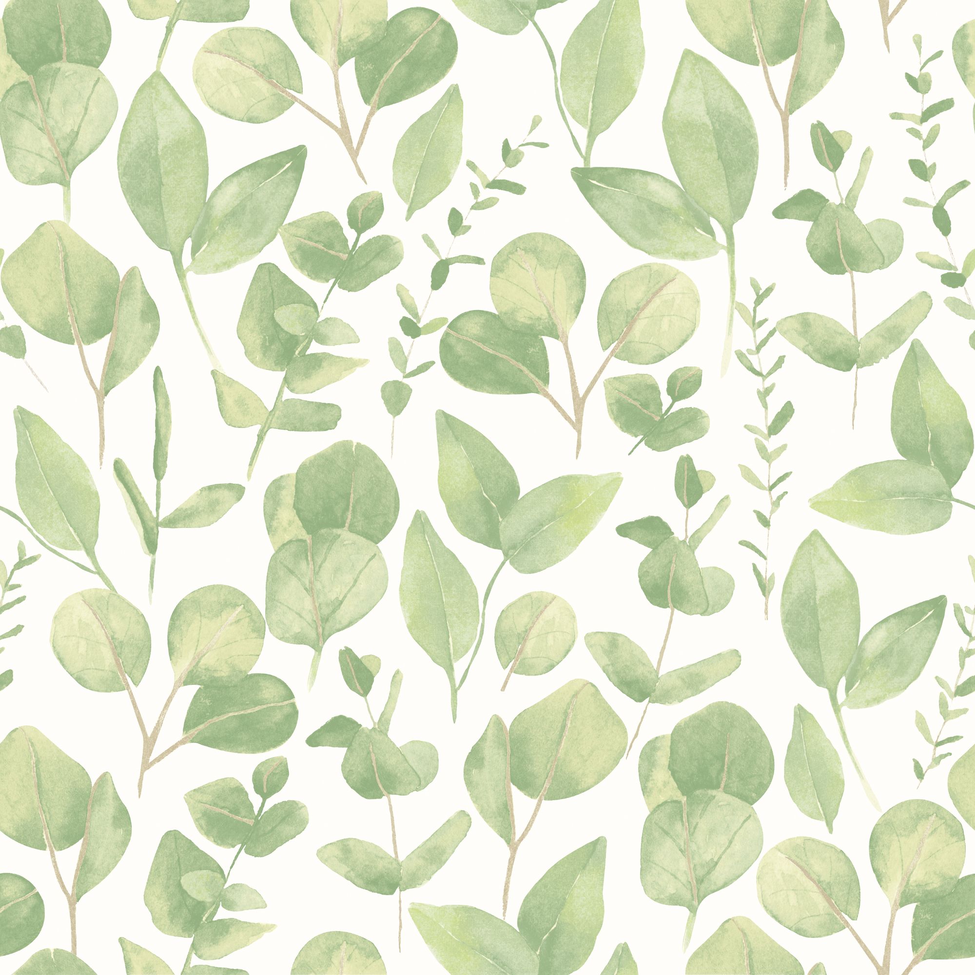 HWA1408W Watercolour Leaves Soft Sage Wallpaper by Hoopla Walls