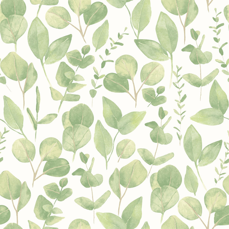HWA1408W Watercolour Leaves Soft Sage Wallpaper by Hoopla Walls
