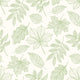 Leaf Silhouette Apple Oasis Wallpaper by Hoopla Walls