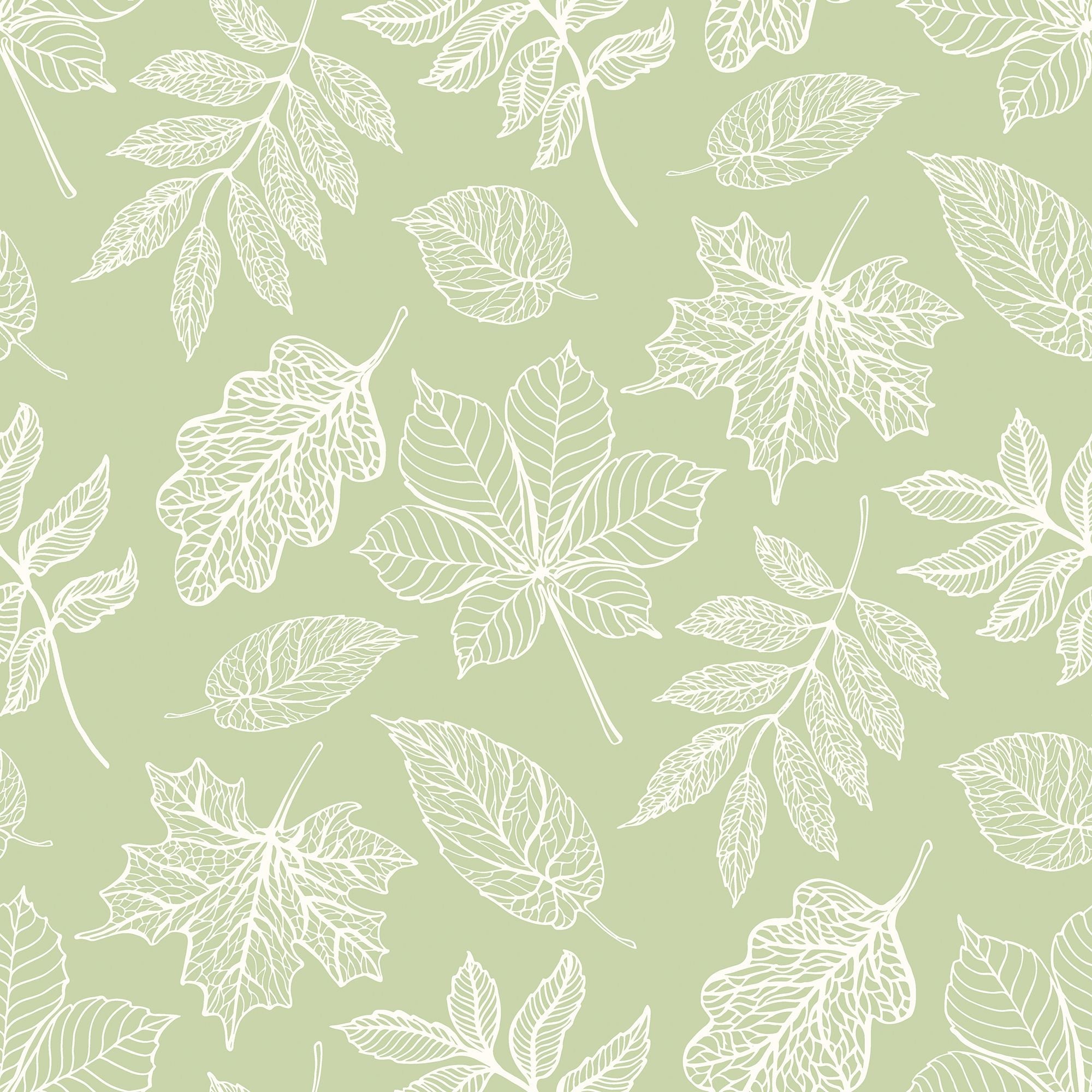 HWA1419W Leaf Silhouette Dusty Sage Wallpaper by Hoopla Walls