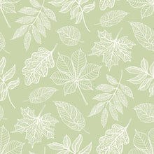 HWA1419W Leaf Silhouette Dusty Sage Wallpaper by Hoopla Walls