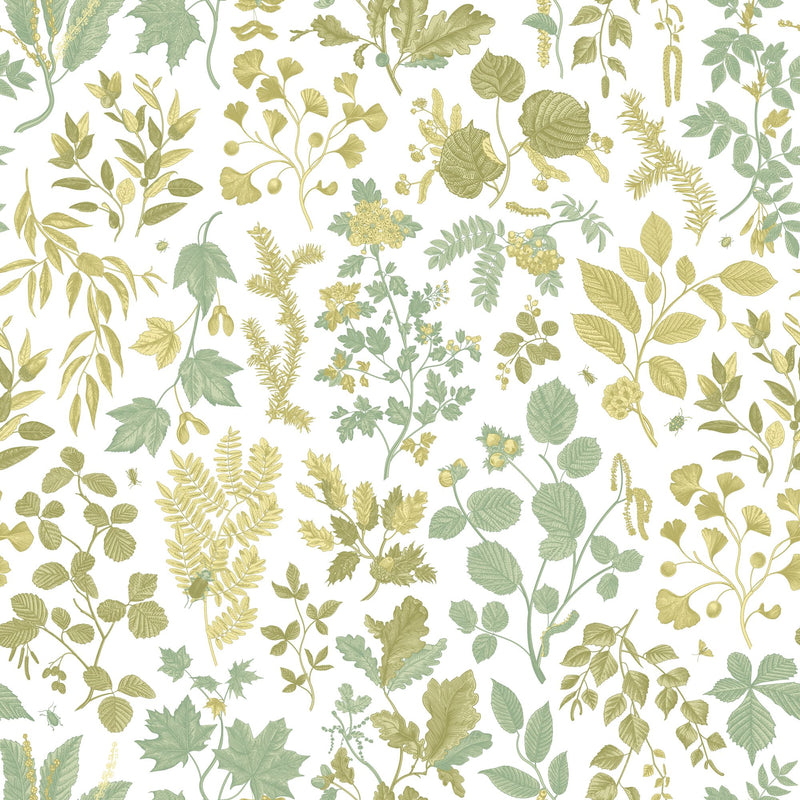 HWA1442W Botanical Leaves Olive Mix Wallpaper by Hoopla Walls