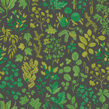 HWA1443W Botanical Leaves Charcoal & Emerald Wallpaper by Hoopla Walls