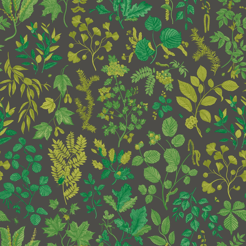 HWA1443W Botanical Leaves Charcoal & Emerald Wallpaper by Hoopla Walls