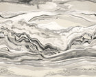 ICN50108M Metamorph Alabaster & Jet Mural by Ohpopsi
