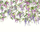 ICN50110M Trailing Wisteria Amethyst Mural by Ohpopsi