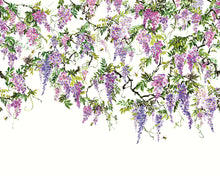 ICN50110M Trailing Wisteria Amethyst Mural by Ohpopsi