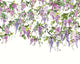 Trailing Wisteria Amethyst Icon Murals Mural by Ohpopsi