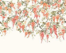 ICN50112M Trailing Wisteria Peach Mural by Ohpopsi