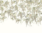 ICN50113M Trailing Wisteria Linen Mural by Ohpopsi